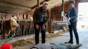 Murder also makes manure