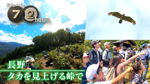 Nagano, at the mountain pass looking up at the hawks