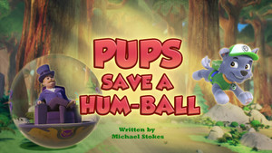 Pups Save a Hum-Ball