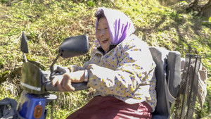 Grandma's Hands Reap Nature's Bounty