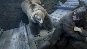 The Bear and the Maiden Fair