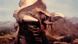 To the Starry Sky with Love