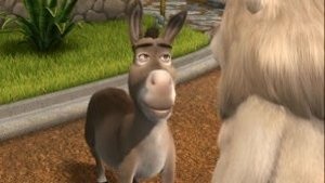 Donkey