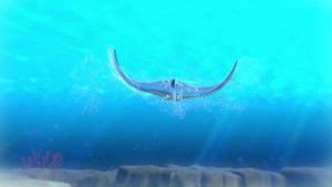 Searching for a Manta Ray