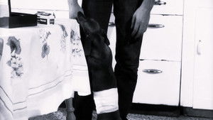 Shadows of an Afternoon