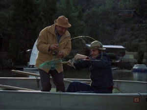 Visitors in Paradise