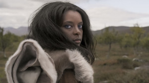 The Stone Age, circa 14 500 BC-3700 BC