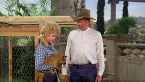 That Old Black Magic