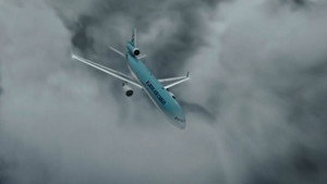 Mixed Measures (Korean Air Cargo Flight 6316)