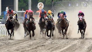 Dreams Bloom at Kochi Racecourse