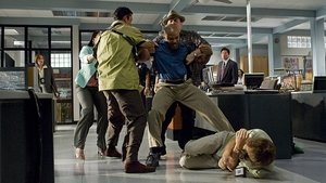 That Night, a Forest Grew