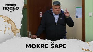 2436 Mokre šape