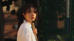 The Cat and the Rabbit