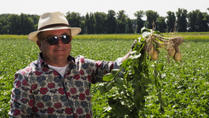 Poland – The Order of Greater Poland