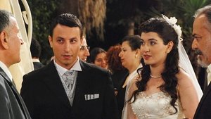 Season 1, Episode 24