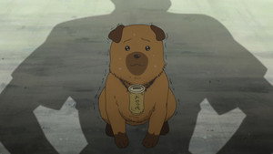 Hachiken Jumps High