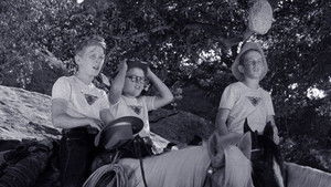 Perkins and the Bear