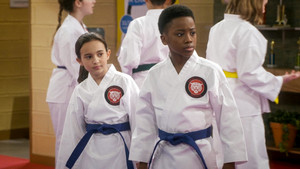 Karate Wars IV: Dawn of the Karate Wars