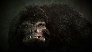 Ancient Sounds and Moon Mounds