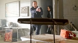 The Man Behind the Shield