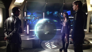 The Spider's Stratagem