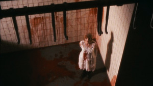 My Dream of the Dream of Franz Biberkopf by Alfred Döblin, An Epilogue