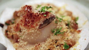 Sea Shells by the Sea Shore