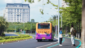 The Explosion of Bus No. 45