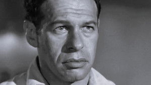 Hey Moth, Come Eat The Flame