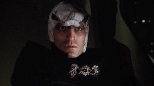 Time of the Hawk (1)