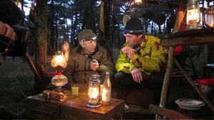 En sneppe på Rømø