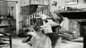 The Case of the Lazy Lover