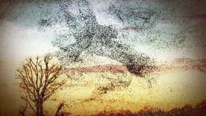 B.J. and the Seven Lady Truckers (1)