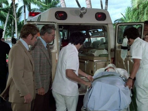 The Year Of The Horse (2)