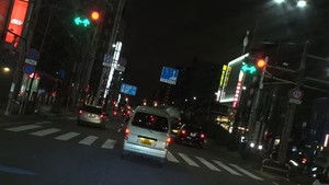 Metropolitan Rat Patrol