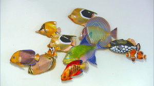 Motorcycle Engines, Glass Enamel Sculptures, Hand-Made Paper, Vaulting Poles