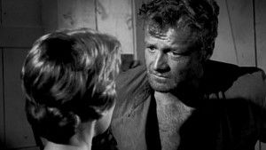 Incident in No Man's Land