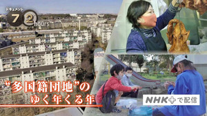 The Old Year and the New Year in a Multinational Housing Complex