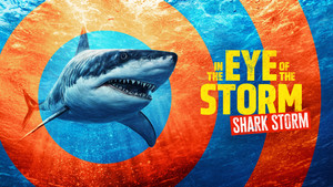In the Eye of the Storm: Shark Storm