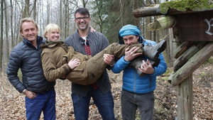 Wildschweinjagd