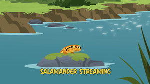Salamander Streaming