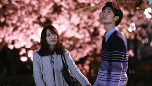 The morning of the beginning