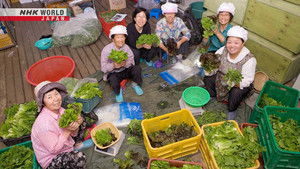 Sowing Sustainable Seeds: South Korea