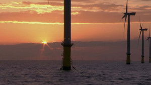 Skyscrapers of the Deep