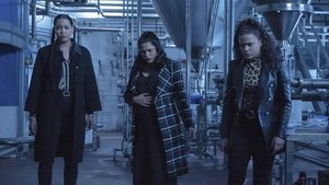 The Storm Before the Calm