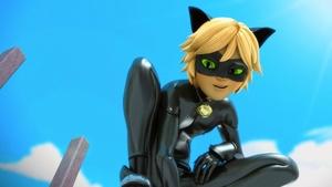 Cat Noir as seen by Marinette