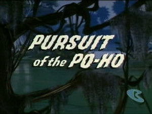 Pursuit of the Po-Ho