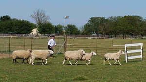 Mythssion Impossible