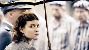 The Garden Next to the Wall