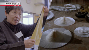 Unfolding a Life with Origami